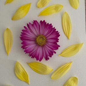 Meet your Posher, Jee hye